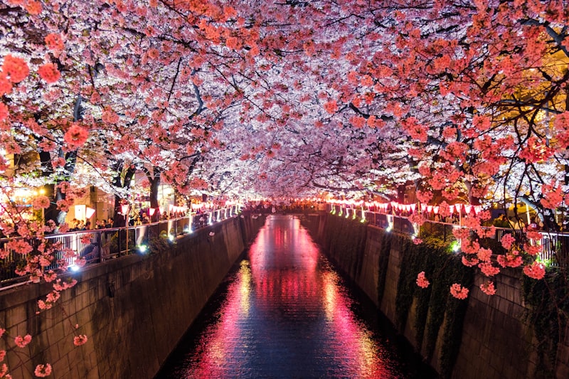 日本旅行の計画